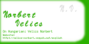 norbert velics business card